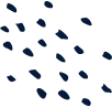 oxypest image